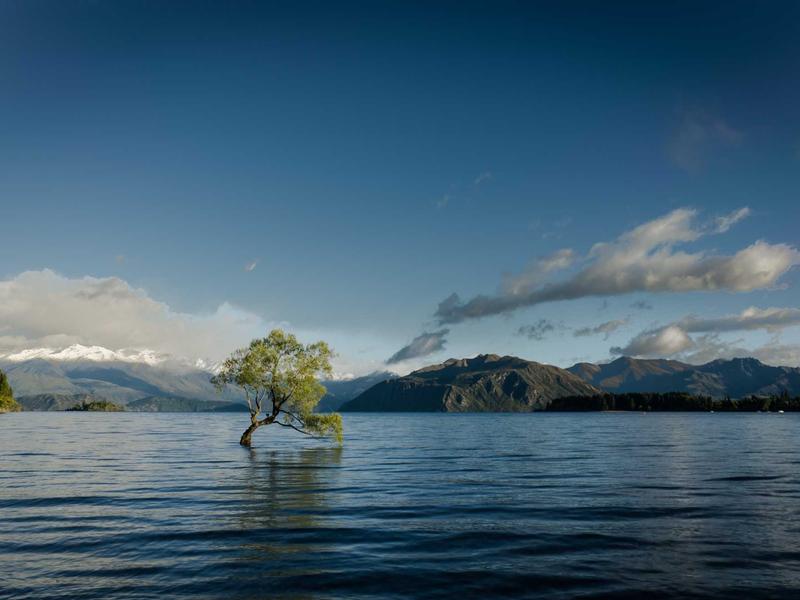Debt and Asset Recovery